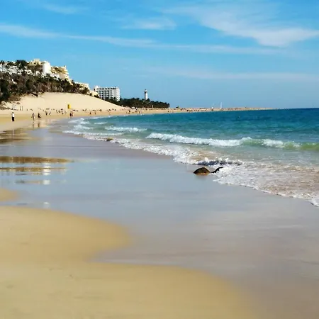 Appartement Near The Beach, With Terrace And Wifi *